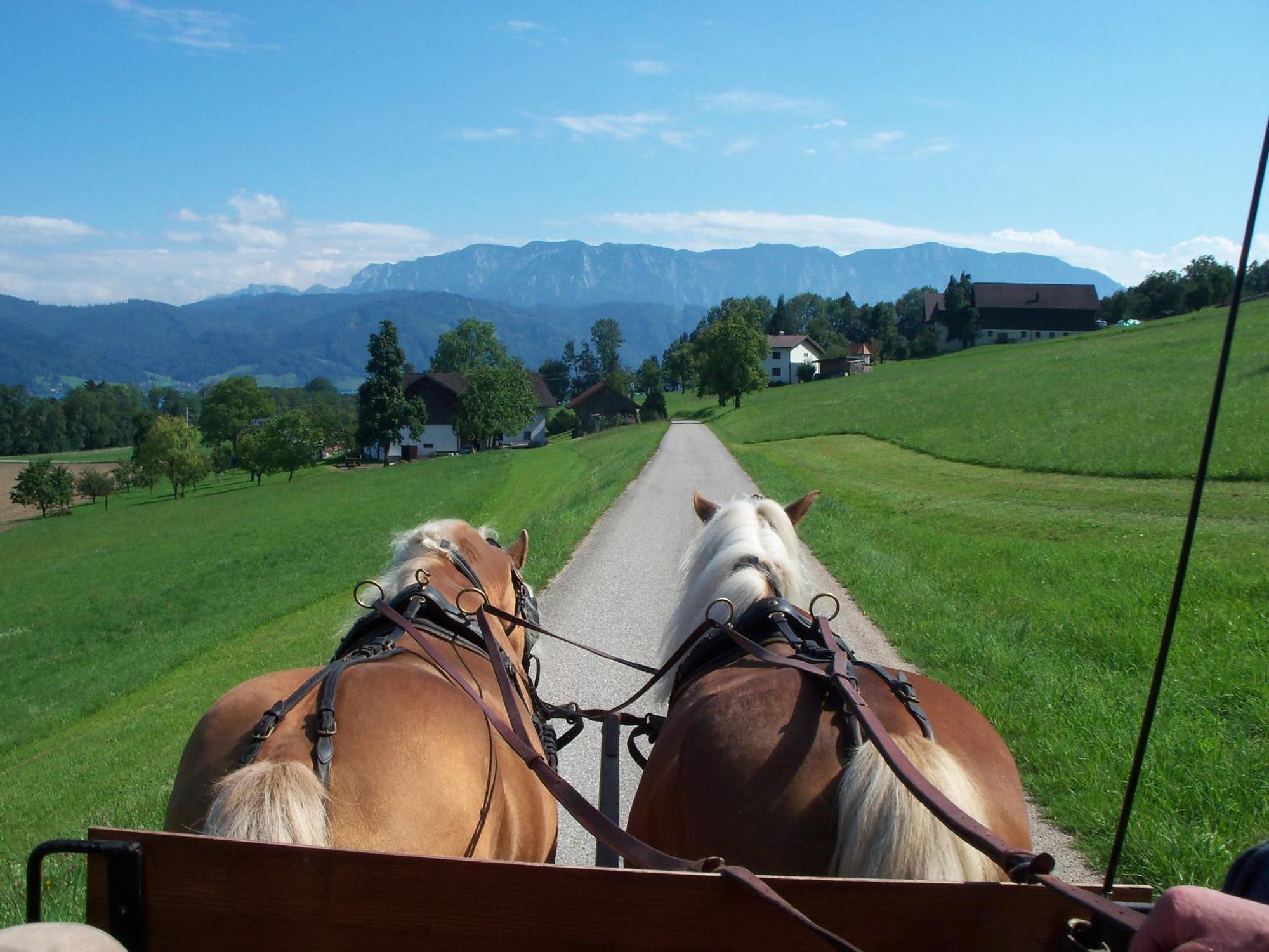 Gasthofladen Schneeweiss Attersee Екстериор снимка